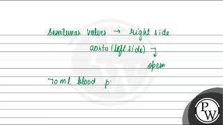 During and immediately after ventricular systole which does not happens 1 Blood get filled i [upl. by Arahset302]