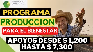 Programa Producción para el Bienestar Apoyo Agrícola [upl. by Vanzant]