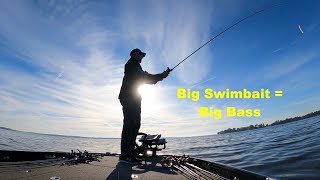 Swim Bait Bass Fishing Action Lake Conroe  Winter [upl. by Habeh]