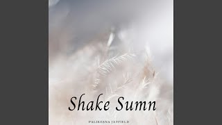 Shake Sumn [upl. by Acitel]