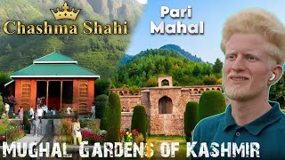 I Recently Explored Two Of Kashmirs Most Famous Mughal Gardens Chashma Shahi and Pari Mahal EP 4quot [upl. by Dagnah947]