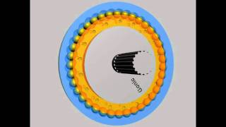 Gonic Cycloidal Drive [upl. by Lavud964]