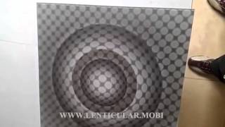 Fly eye lens images 3d dot lenticular lens sheet printing service 2016 [upl. by Gifford]