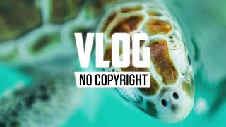 MusicbyAden  Earth Vlog No Copyright Music [upl. by Gav882]