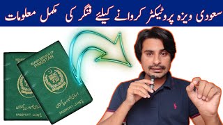 Visa Protector Process In Pakistan 31July2023  Passport Protector  Visa Protector Kya Hota Hai [upl. by Assiran384]