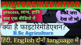 what is phytoremediation PHYTOREMEDIATION PHYTOREMEDIATION in hindi phytoremediation kya h [upl. by Eleik856]