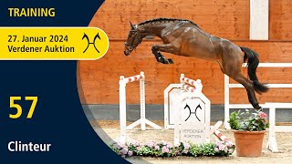 Verden Auction Online Jan 27  Training  No 57 Clinteur by Clintons Heart  Conteur [upl. by Avilys]