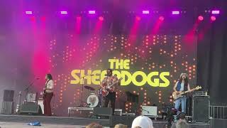 The Sheepdogs  Southern Dreaming Live  Rock The Park 2024 [upl. by Marshall]