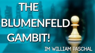 The Blumenfeld Gambit 📖 Best Chess Openings  IM William Paschall [upl. by Enyaht]