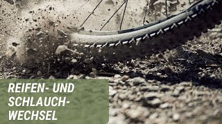 Reifen und Schlauchwechsel für Fahrräder und EBikes  Prophete [upl. by Yvette514]