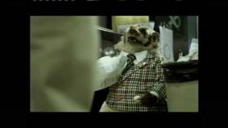 quotPopcorn Breakquot Grady the Badger Johnson Automotive Commercial [upl. by Eruza]