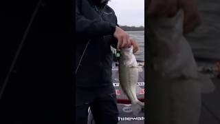 Catching a Game Changing Bass in the Bassmaster Classic [upl. by Peony827]