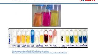 Microbiology  Proteus Providencia and Morganella [upl. by Adnalue180]