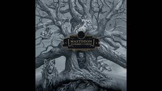 Mastodon  Teardrinker acoustic Official Audio [upl. by Llacam46]