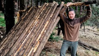 Construiesc un Adăpost Bushcraft în Pădure [upl. by Derick]