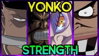 Each YONKOs Strength  One Piece Discussion  Tekking101 [upl. by Avahc]