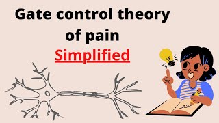 Gate Control Theory of Pain Simplified [upl. by Rahr]