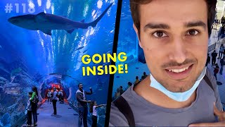 Jumping inside a Shark Tank For Real [upl. by Vaas]