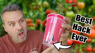 Best Way to Start Tomato Seeds Indoors or Outdoors [upl. by Anelhtak]