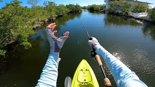 Found a Canal Loaded With Crazy Tarpon  Florida Keys Fishing Experience Day 1 [upl. by Majka]