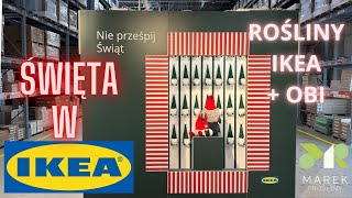 ŚWIĘTA W IKEA plus rośliny w IKEA i OBI  zapraszam na wycieczkę [upl. by Anayit915]