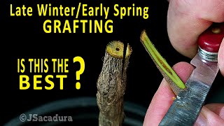 BEST GRAFTING TECHNIQUE in early SPRING  Grafting Fruit Trees [upl. by Mendive315]