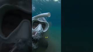 Encontré el tapón del oceano y lo sacamos 😱🌪️ islascanarias dive tenerife snorkeling buceo [upl. by Ramoh]