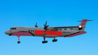 red wings flight 9268 recreated in TFS [upl. by Deehahs]