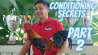 MABISANG GAMOT PARA SA SIPON NG MGA MANOK  Dwight Tamayo [upl. by Smoot]