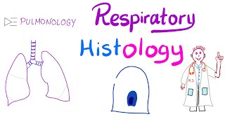 Respiratory Histology  What’s in your lung  Larynx Trachea Bronchi Bronchioles Alveoli [upl. by Damiano]