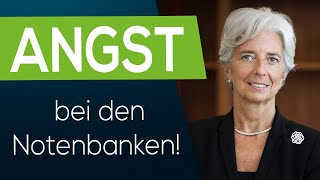 Die größte ANGST der Notenbanken [upl. by Hetty]