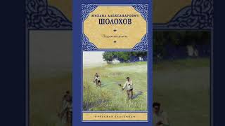 Михаил Шолохов Поднятая целина Книга первая Глава 12 [upl. by Anid]