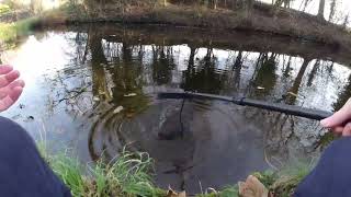 UK Canal Fishing  BFS Lure fishing with a Mink surprise [upl. by Obeng911]