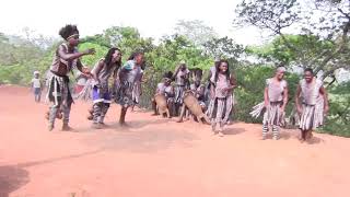 Mhondoro Dzinonwa  Great Zimbabwe Dance Group  Traditional Song from Zimbabwe [upl. by Izy]