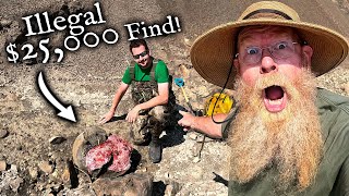 We found a 25000 Fossil Illegal Ammonite Mining [upl. by Kingston]