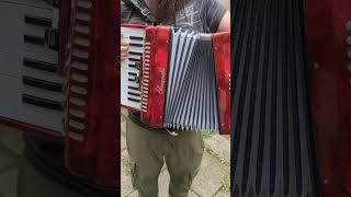 Ein echter Waterstrat auf Serenelli 48 eine Impro auf diesem accordion aus chin Produ music [upl. by Annahpos]