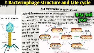 Bacteriophage structure and life cycle  Lytic and lysogenic life cycle of Bacteriophage [upl. by Naples]