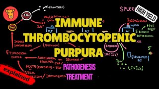 IMMUNE THROMBOCYTOPENIC PURPURA Pathogenesis Mechanism of clinical symptoms ITP Treatment [upl. by Eniad]