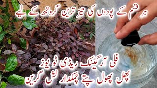 100 Organic Liquid Fertilizer for Plant Growth  Phal Phool aur Pattay Chamakdaar amp Healthy [upl. by Chiquita]