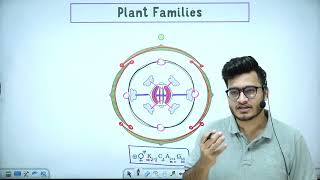 L7 Plant Families Fabaceae Solanaceae amp Liliaceae  Morphology in Flowering Plants 11th Class [upl. by Yila]