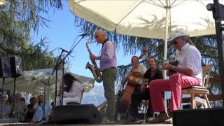 Harri Stojka  Autofahrer unterwegs Blende auf  Jazzfest Saalfelden 2015 [upl. by Arhoz284]