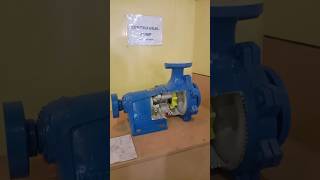 Centrifugal pump with mechanical seal Centrifugal pump [upl. by Nonnarb]