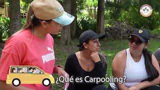 ¿QUÉ ES CARPOOLING [upl. by Annahsat]