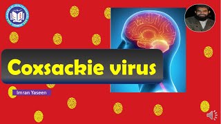 Coxsackie virus causes Herpangina and pleurodynia  Virology  by Imran Yaseen [upl. by Ahselrac]