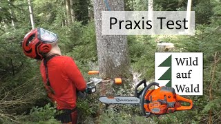 🌲EXTREM Test 4x Fichten Fällung Rückhänger mit Makita und Forstreich wildaufwald [upl. by Bearnard690]