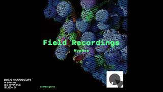 Field Recordings  Hyphae  04 Hyphae Eliza 3 [upl. by Hendrickson845]