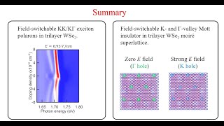 Tunable Gamma and Kvalley exciton polarons and correlated states in trilayer WSe2 [upl. by Corilla]