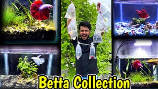 6 Full moon betta tank🔥 River Fish Tank  Tetra Fish Eggs  Betta Fish Tanks Ideas  Fishing❤️ [upl. by Enoved]