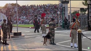 AttariWagah Border Beating Retreat Crowd Gathers To Witness Ceremony Ahead Of Independence Day [upl. by Birkett550]