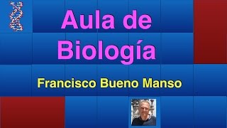 24 PROBLEMAS DE GENÉTICA ALELISMO MULTIPLE UNO [upl. by Tigdirb]